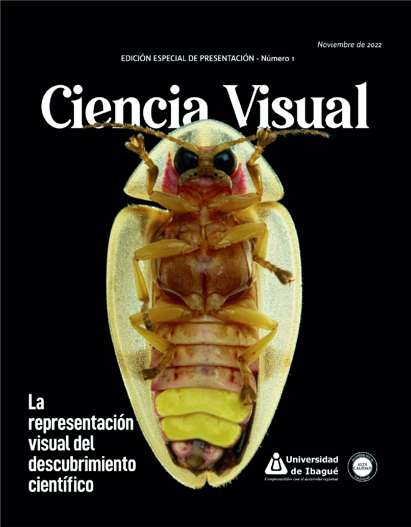 Imagen revista Ciencia Visual Edición No. 1 del programa de Biología Ambiental Unibagué