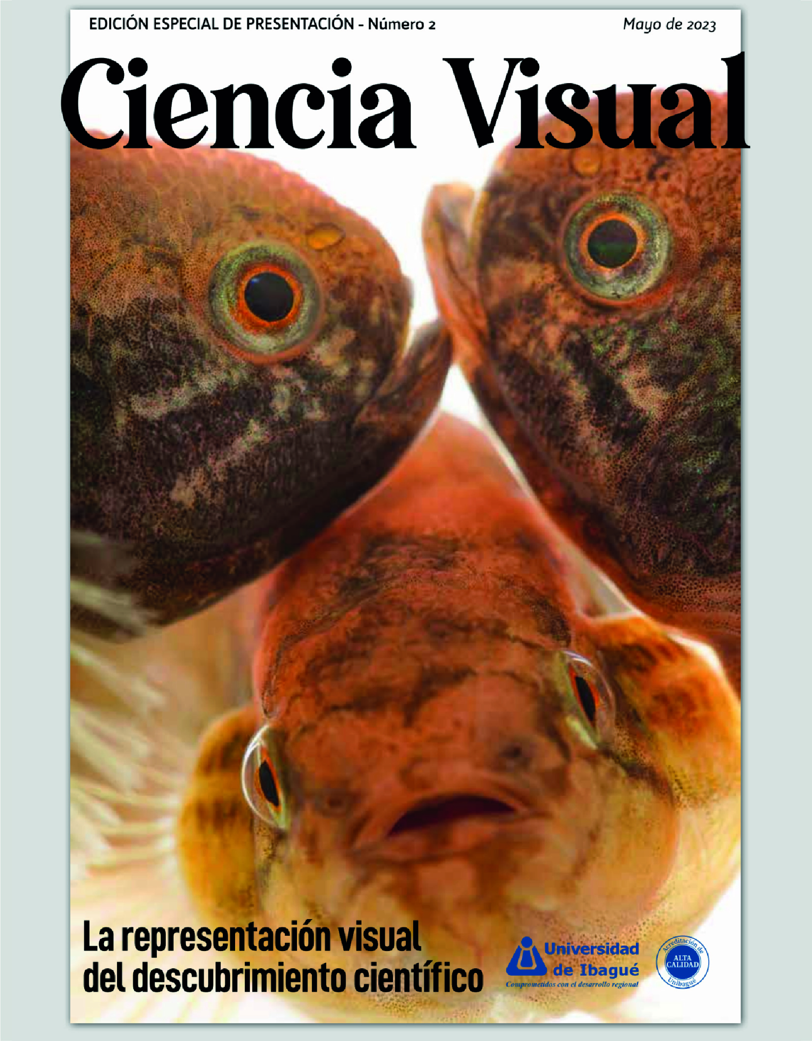 Imagen revista Ciencia Visual Edición No. 2 del programa de Biología Ambiental Unibagué